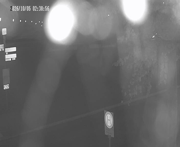 Archiv Foto Webcam Körbecke: Seetreppe Möhnesee