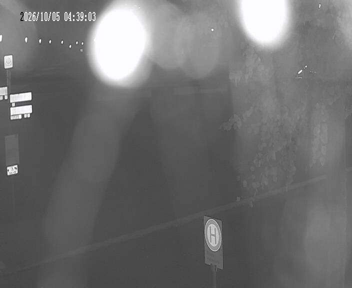 Archiv Foto Webcam Körbecke: Seetreppe Möhnesee
