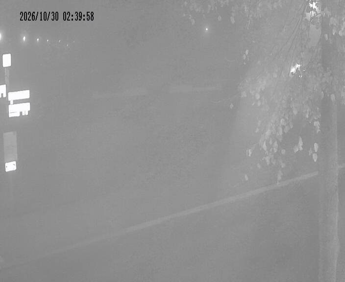 Archiv Foto Webcam Körbecke: Seetreppe Möhnesee