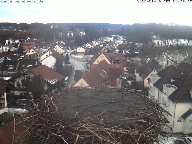 Archived image Webcam Stork's Nest Bad Waldsee