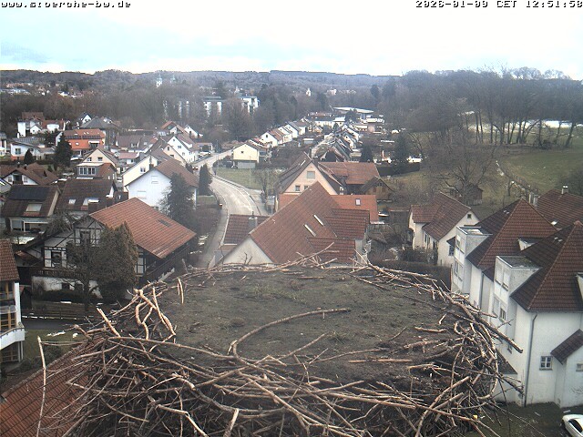 Archived image Webcam Stork's Nest Bad Waldsee