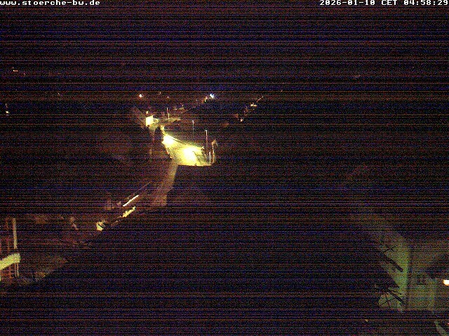 Archiv Foto Webcam Storchennest Bad Waldsee