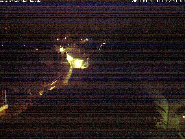 Archiv Foto Webcam Storchennest Bad Waldsee