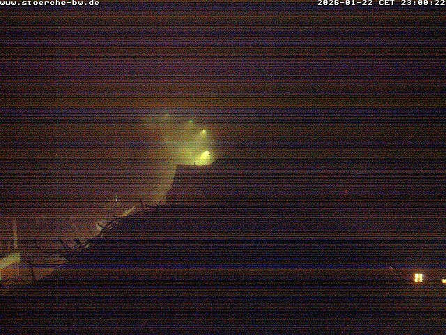 Archiv Foto Webcam Storchennest Bad Waldsee