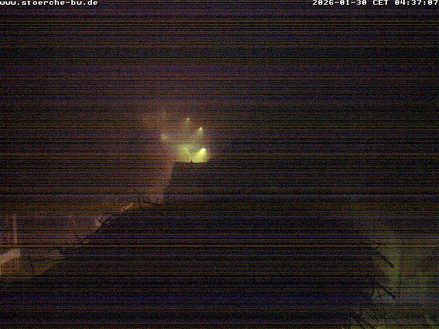 Archiv Foto Webcam Storchennest Bad Waldsee