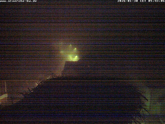 Archiv Foto Webcam Storchennest Bad Waldsee