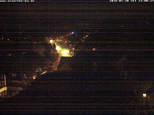 Archiv Foto Webcam Storchennest Bad Waldsee