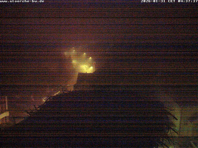 Archiv Foto Webcam Storchennest Bad Waldsee