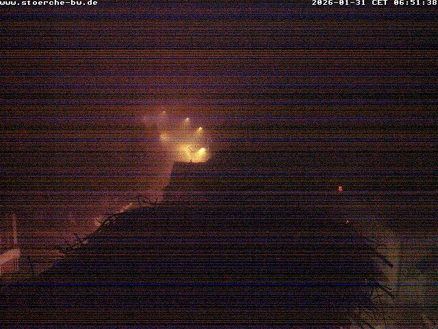 Archiv Foto Webcam Storchennest Bad Waldsee