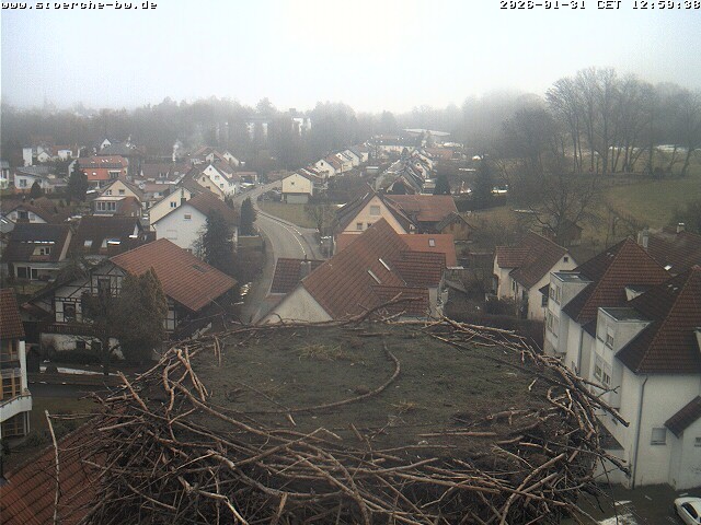 Archiv Foto Webcam Storchennest Bad Waldsee
