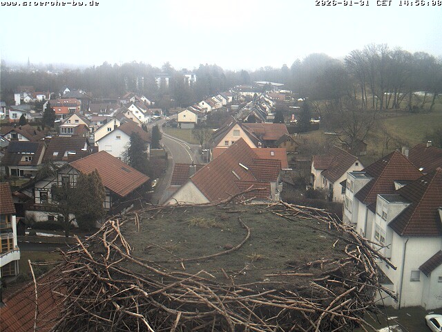 Archiv Foto Webcam Storchennest Bad Waldsee