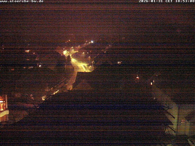 Archiv Foto Webcam Storchennest Bad Waldsee