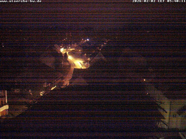 Archiv Foto Webcam Storchennest Bad Waldsee
