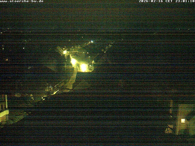 Archiv Foto Webcam Storchennest Bad Waldsee