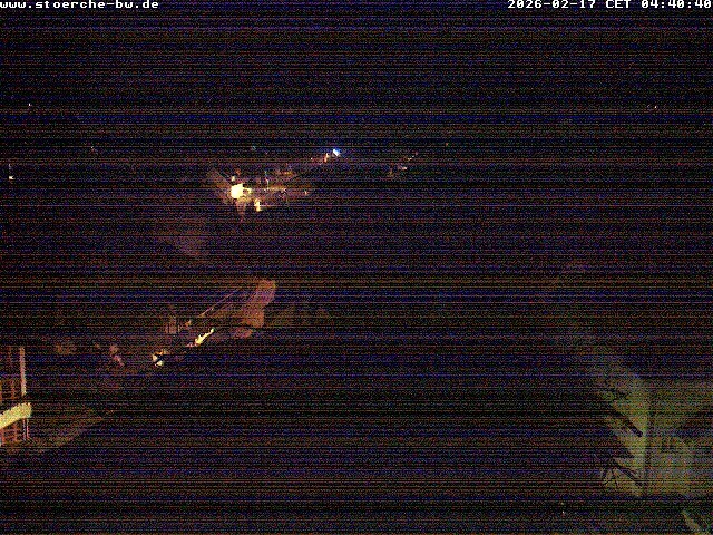 Archiv Foto Webcam Storchennest Bad Waldsee