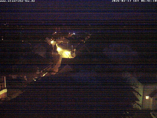 Archiv Foto Webcam Storchennest Bad Waldsee