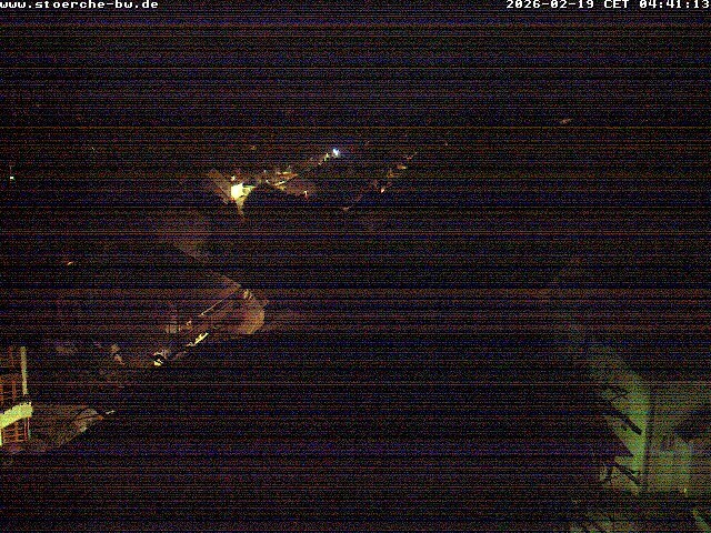 Archiv Foto Webcam Storchennest Bad Waldsee