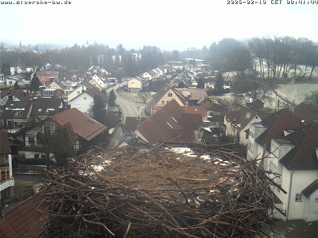 Archiv Foto Webcam Storchennest Bad Waldsee