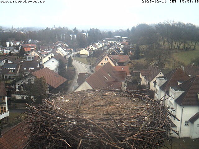 Archiv Foto Webcam Storchennest Bad Waldsee