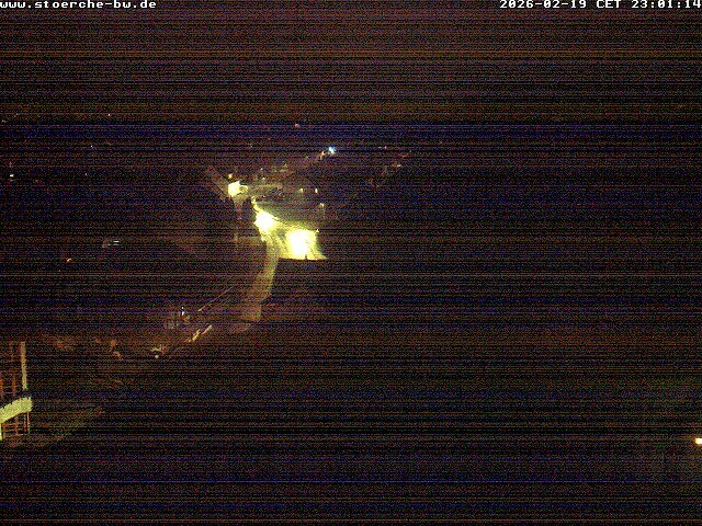 Archiv Foto Webcam Storchennest Bad Waldsee