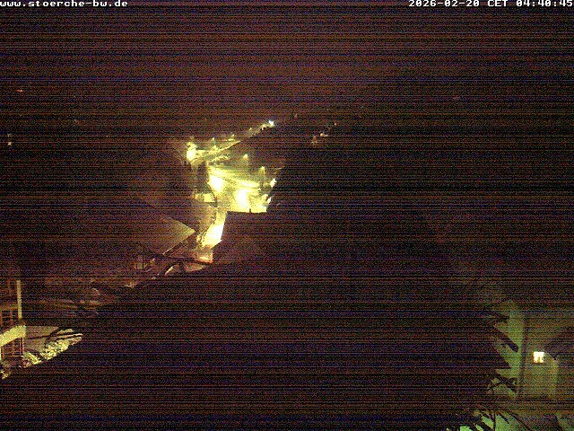 Archiv Foto Webcam Storchennest Bad Waldsee