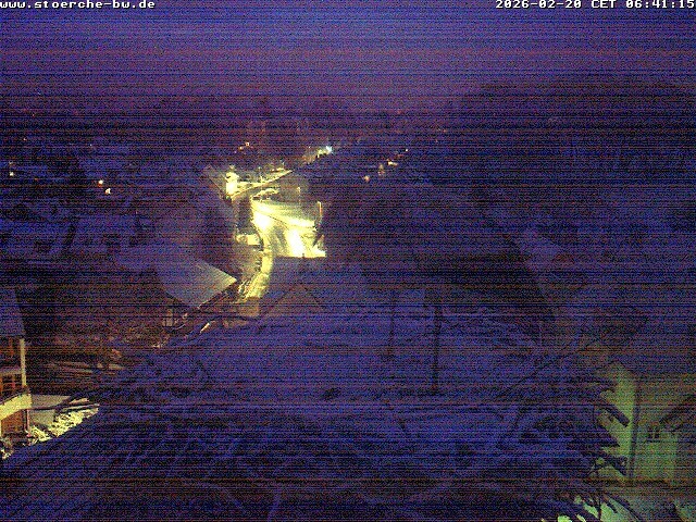 Archiv Foto Webcam Storchennest Bad Waldsee