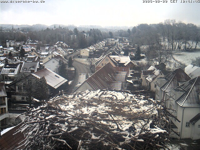 Archiv Foto Webcam Storchennest Bad Waldsee