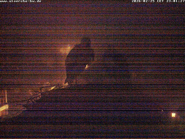 Archiv Foto Webcam Storchennest Bad Waldsee