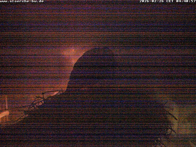 Archiv Foto Webcam Storchennest Bad Waldsee