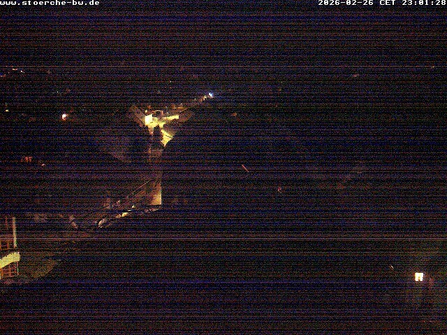 Archived image Webcam Stork's Nest Bad Waldsee