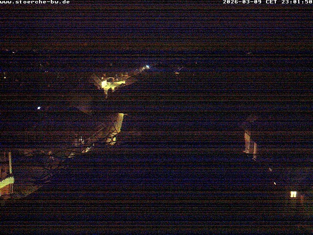 Archiv Foto Webcam Storchennest Bad Waldsee