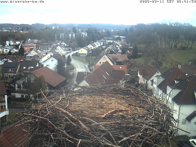 Archiv Foto Webcam Storchennest Bad Waldsee