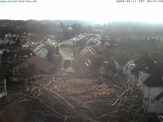 Archiv Foto Webcam Storchennest Bad Waldsee