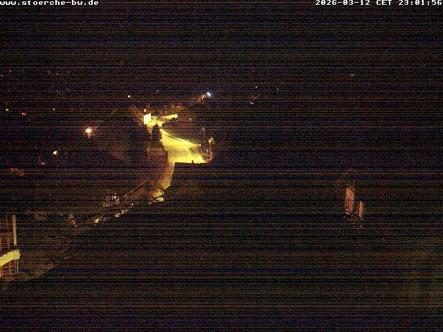 Archiv Foto Webcam Storchennest Bad Waldsee