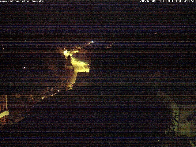 Archiv Foto Webcam Storchennest Bad Waldsee