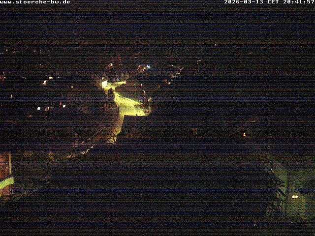 Archiv Foto Webcam Storchennest Bad Waldsee