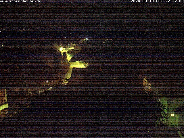 Archiv Foto Webcam Storchennest Bad Waldsee