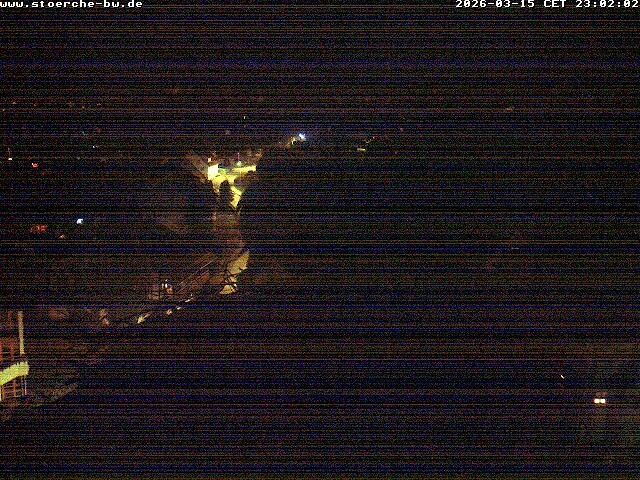 Archiv Foto Webcam Storchennest Bad Waldsee