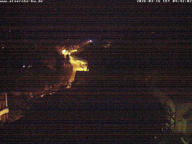 Archiv Foto Webcam Storchennest Bad Waldsee