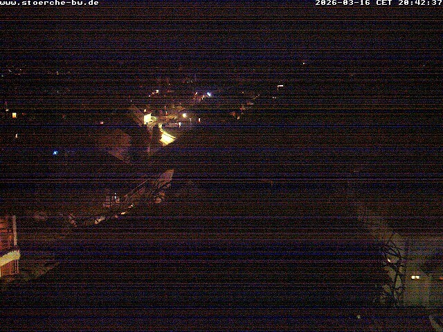 Archiv Foto Webcam Storchennest Bad Waldsee