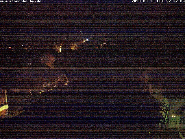 Archiv Foto Webcam Storchennest Bad Waldsee