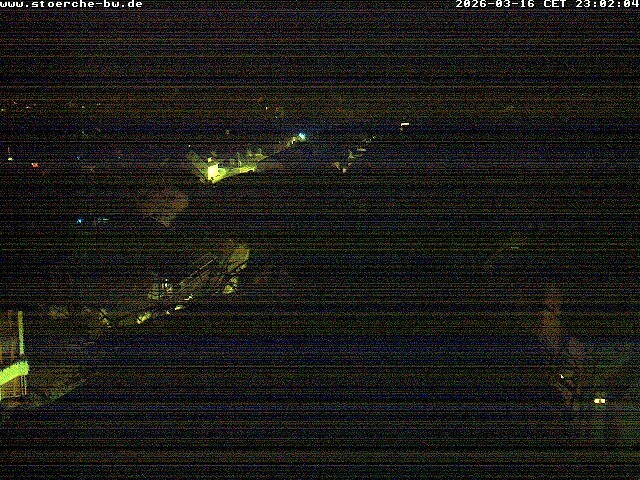 Archiv Foto Webcam Storchennest Bad Waldsee