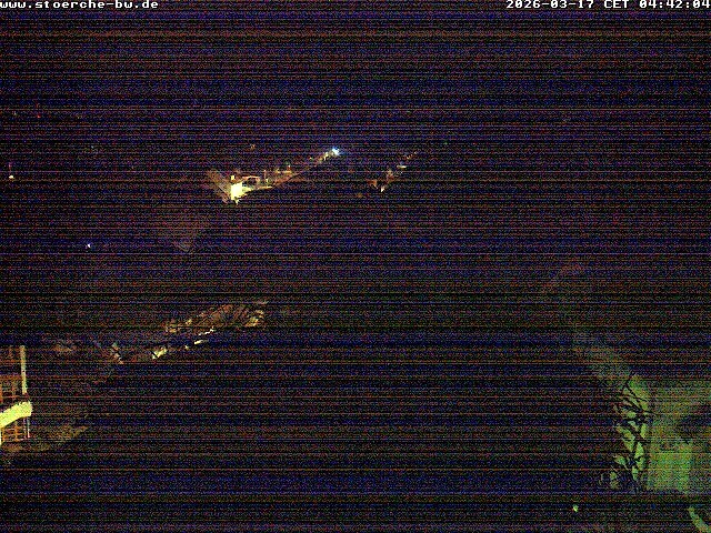 Archiv Foto Webcam Storchennest Bad Waldsee