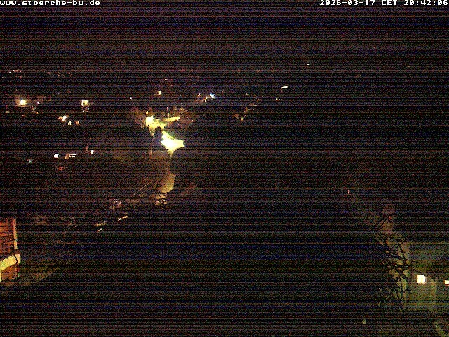 Archiv Foto Webcam Storchennest Bad Waldsee