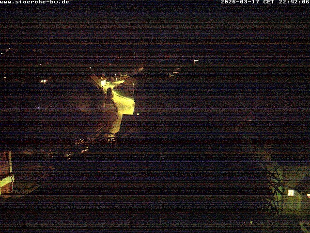 Archiv Foto Webcam Storchennest Bad Waldsee