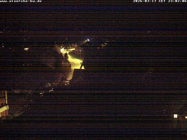 Archiv Foto Webcam Storchennest Bad Waldsee