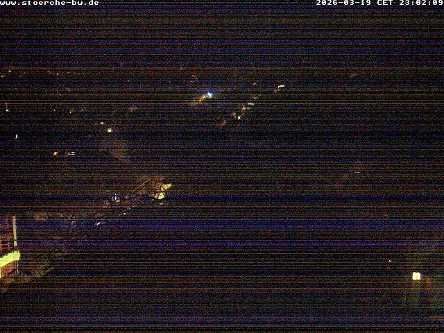 Archiv Foto Webcam Storchennest Bad Waldsee