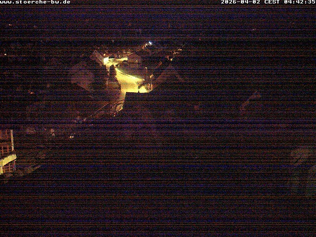 Archiv Foto Webcam Storchennest Bad Waldsee