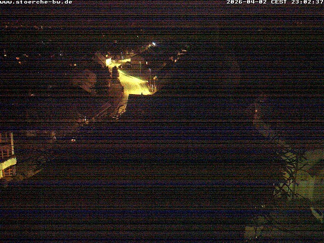Archiv Foto Webcam Storchennest Bad Waldsee