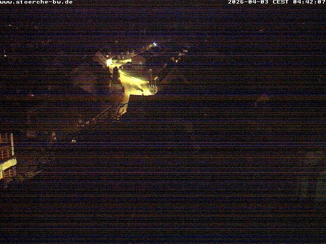 Archiv Foto Webcam Storchennest Bad Waldsee